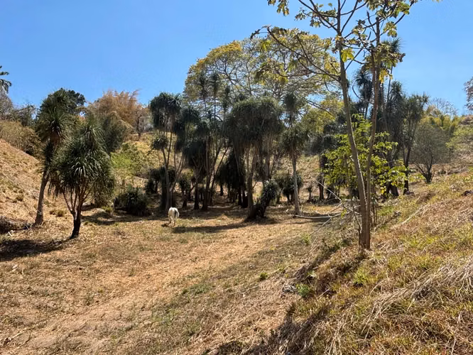 TERRENO EN VENTA EN EL FISCAL, PALENCIA