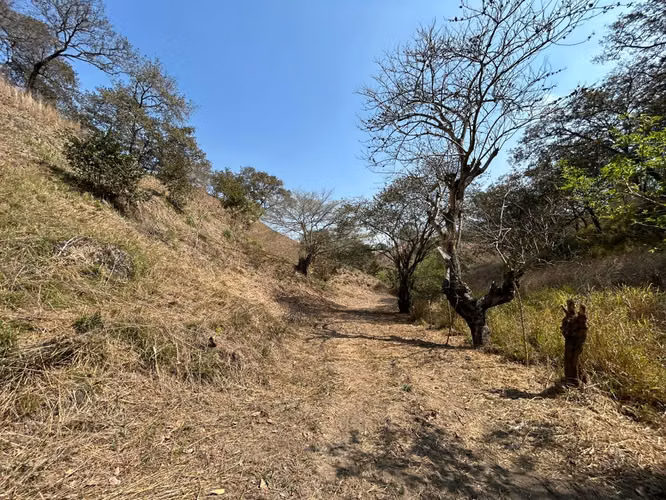 TERRENO EN VENTA EN EL FISCAL, PALENCIA