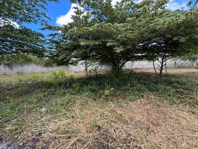 Se vende LOTE en proyecto urbanizado La Ceiba – Sanarate. - Imagen 13