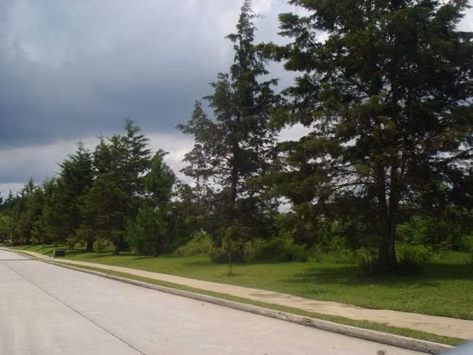 Venta terreno residencial km 23.5 Carretera al Salvador - Imagen 4