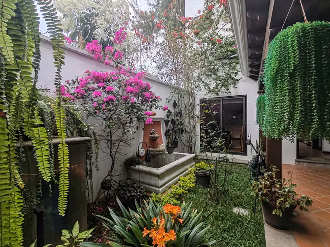 Renta de casa amueblada
