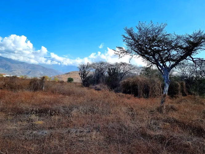 Vendo Terreno en El Rancho Km. 82 – Carretera al Atlántico