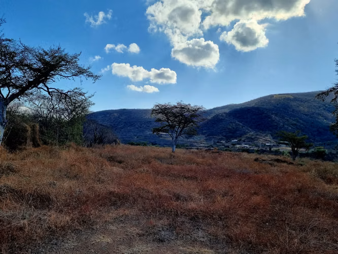 Vendo Terreno en El Rancho Km. 82 – Carretera al Atlántico