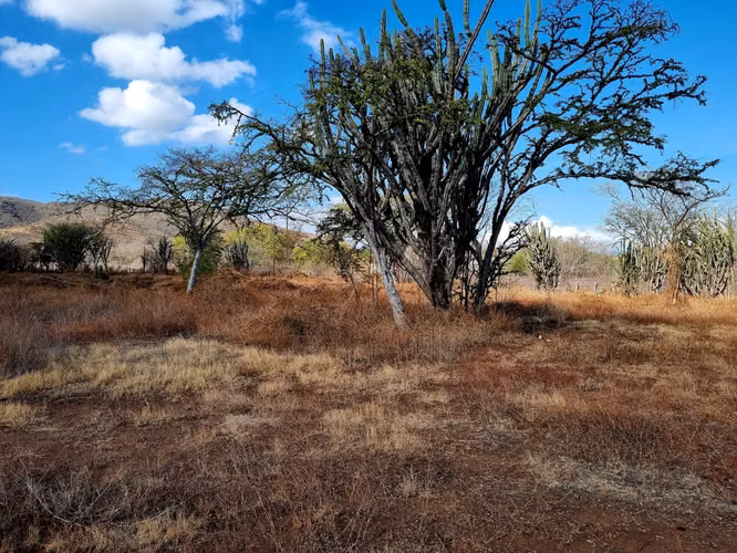 Vendo Terreno en El Rancho Km. 82 – Carretera al Atlántico