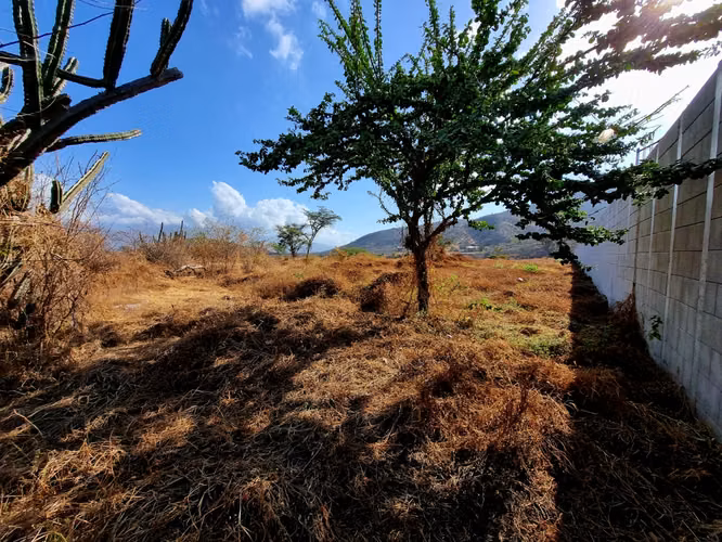 Vendo Terreno en El Rancho Km. 82 – Carretera al Atlántico
