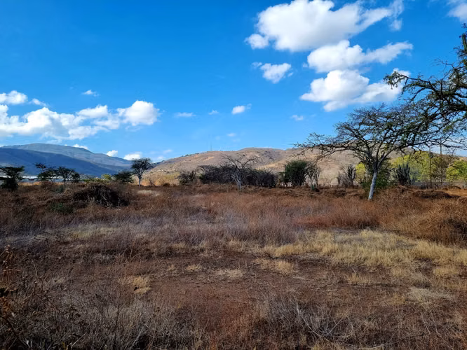 Vendo Terreno en El Rancho Km. 82 – Carretera al Atlántico