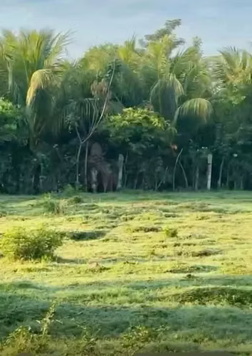 Terreno en sector Arizona, Escuintla