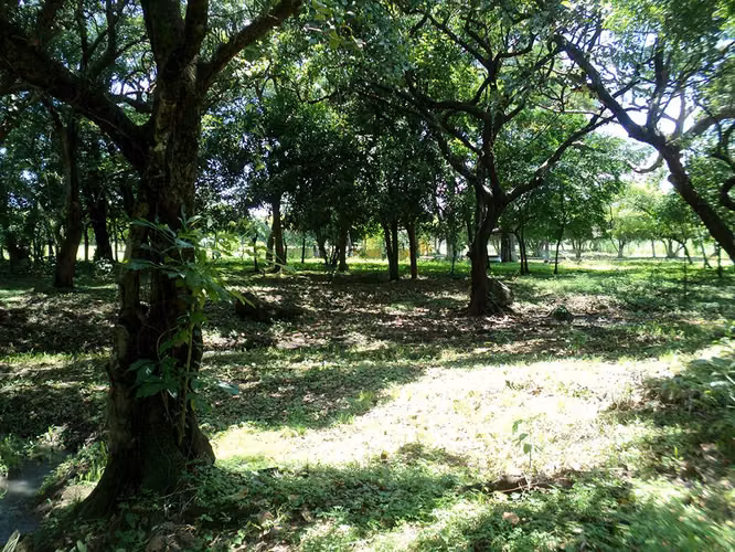 Se rematan 2 terreno en Villas Club San Joaquin - Autopista Puerto Quetzal
