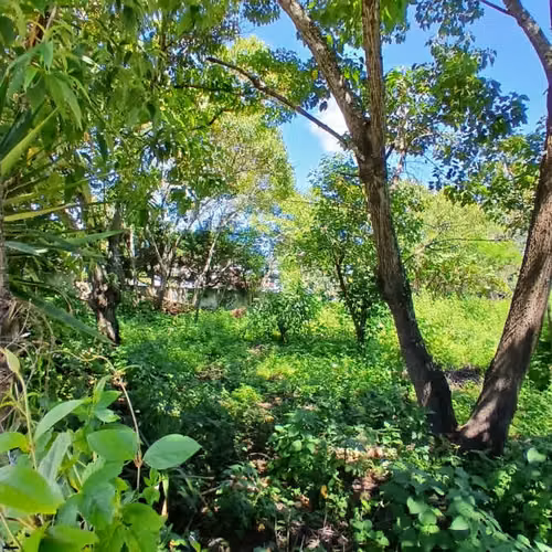 Terreno en Venta en Santa Lucía Milpas Altas, Sacatepéquez - Imagen 6