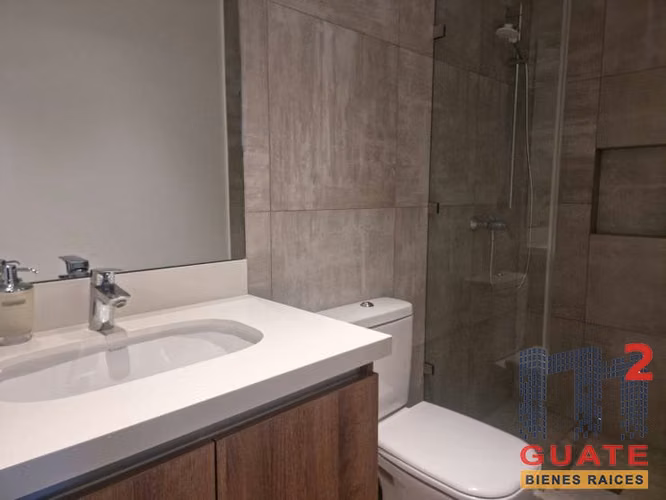 Apartamento en Renta, Zona 10 (V9980) - Imagen 12