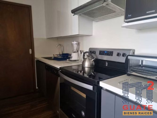 Apartamento en Renta, Zona 10 (V9980) - Imagen 8
