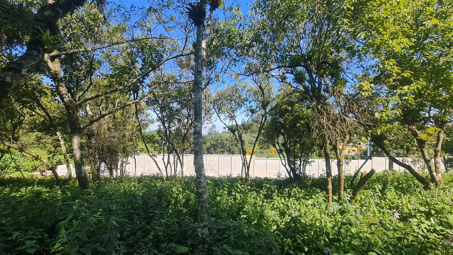 Vendo Terreno en Santa Catarina Pinula | ACODI - Imagen 4