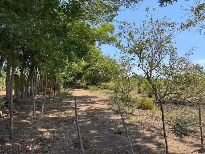 Vendo Terreno en Guanagazapa, Km 84 Escuintla | ACODI - Imagen 3