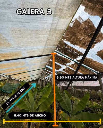 Alquilo Terreno en Chimaltenango | ACODI