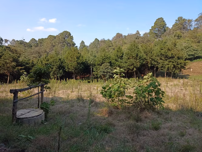 Vendo Terreno en Santa María Cauqué, Santiago Sacatepéquez | ACODI - Imagen 7