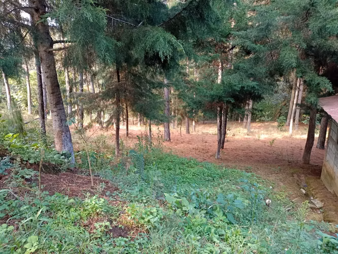 Vendo Terreno en Santa María Cauqué, Santiago Sacatepéquez | ACODI - Imagen 8