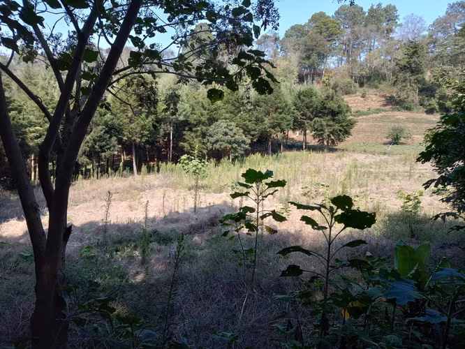 Vendo Terreno en Santa María Cauqué, Santiago Sacatepéquez | ACODI - Imagen 2
