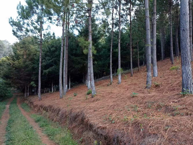 Vendo Terreno en Santa María Cauqué, Santiago Sacatepéquez | ACODI - Imagen 4