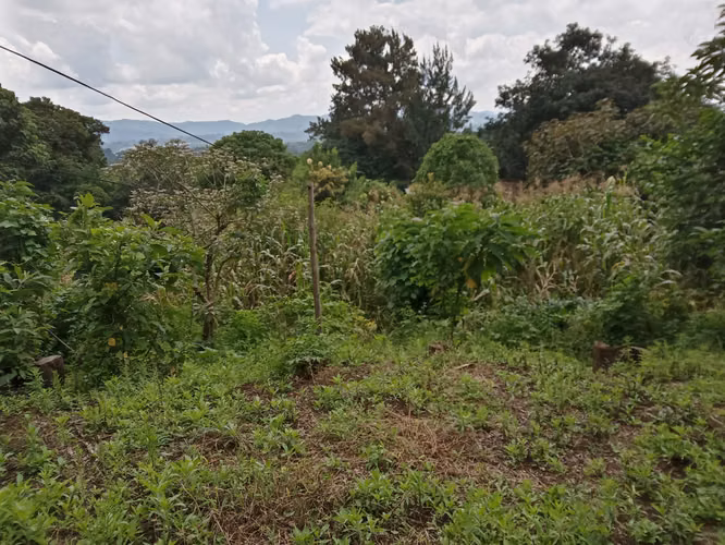 Vendo Terreno en Km 24 Carretera a El Salvador | ACODI - Imagen 9