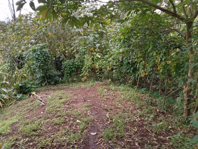 Vendo Terreno en Km 24 Carretera a El Salvador | ACODI - Imagen 7