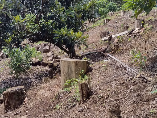 Vendo Terreno en Km 24 Carretera a El Salvador | ACODI - Imagen 3