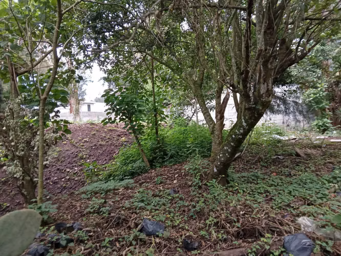 Vendo Terreno en Km 24 Carretera a El Salvador | ACODI - Imagen 12
