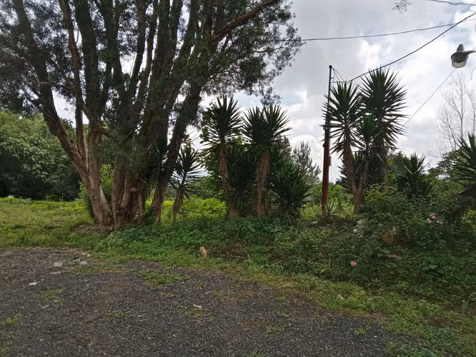 Vendo Terreno en Km 24 Carretera a El Salvador | ACODI - Imagen 8