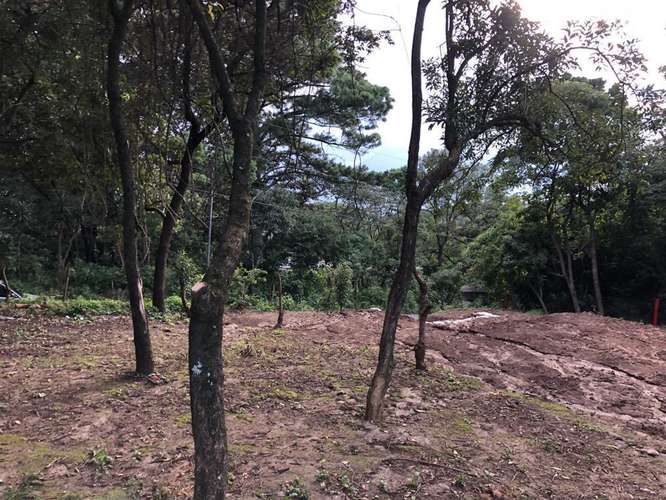 Alquilo Terreno en Santa Catarina Pinula | ACODI - Imagen 6