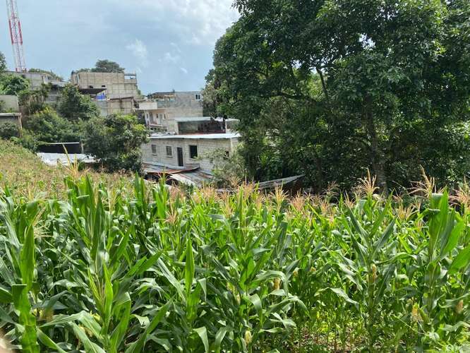 Alquilo Terreno en Santa Catarina Pinula | ACODI - Imagen 3