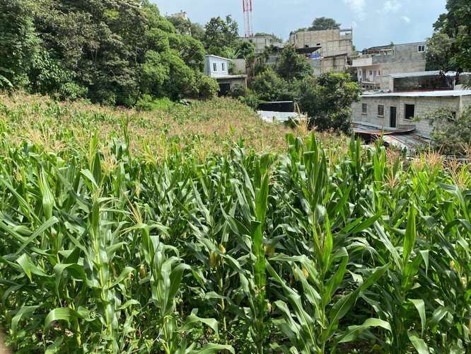 Alquilo Terreno en Santa Catarina Pinula | ACODI - Imagen 2