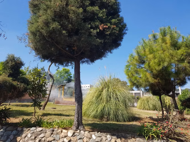 Alquilo Terreno en Km 32 San Juan Sacatepéquez | ACODI - Imagen 13