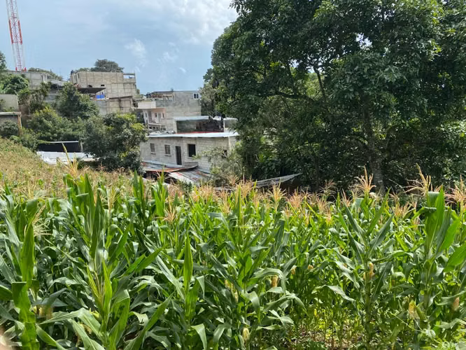 Alquilo Terreno en Santa Catarina Pinula | ACODI - Imagen 3