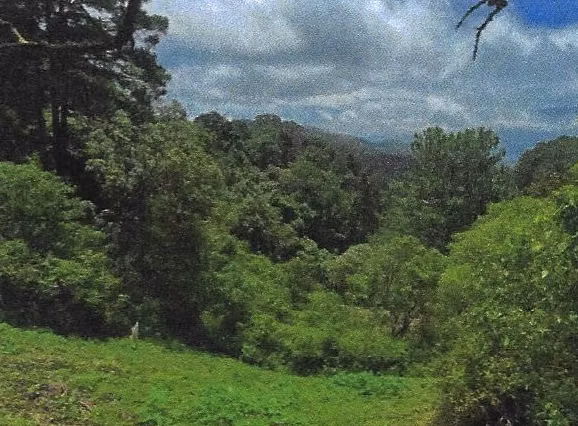 Vendo Terreno cerca de El Pulté, Santa Catarina Pinula | ACODI - Imagen 4