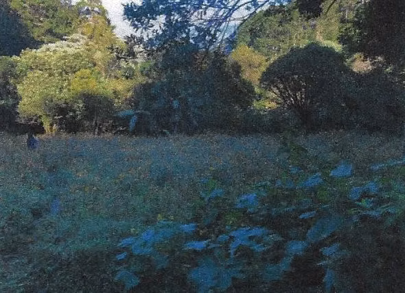 Vendo Terreno cerca de El Pulté, Santa Catarina Pinula | ACODI - Imagen 5