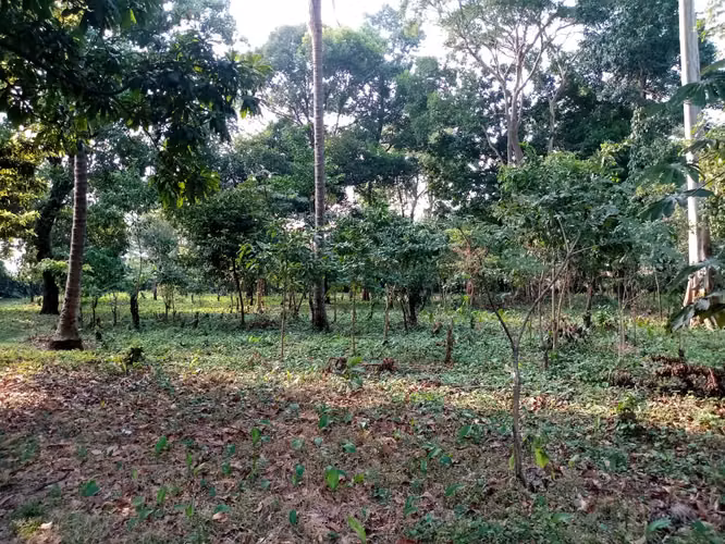Vendo Terreno en Santa Lucía Cotzumalguapa, Escuintla | ACODI - Imagen 7