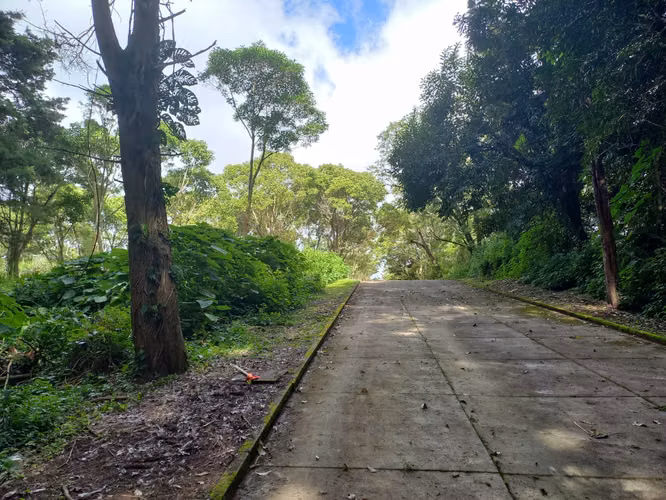 Vendo Terrenos en Casa y Campo, Km 23 Carretera a El Salvador | ACODI - Imagen 7