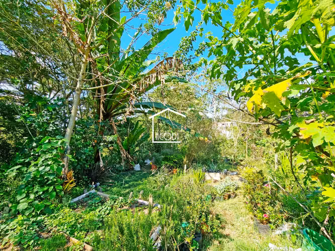 Vendo Terreno en Laguna del Bosque, Santa Catarina Pinula | ACODI - Imagen 6