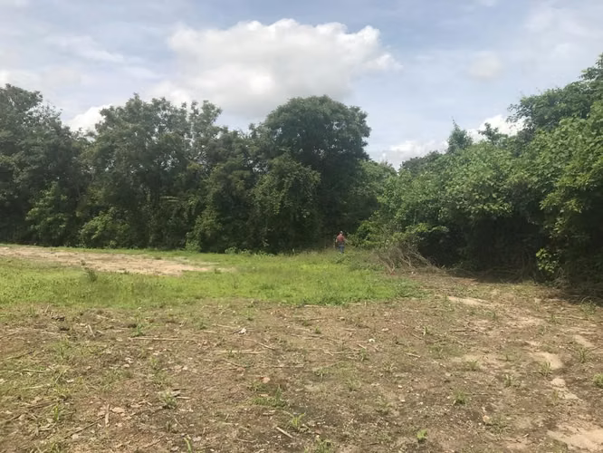 Vendo Terreno en Las Tunas, Sanarate El Progreso | ACODI
