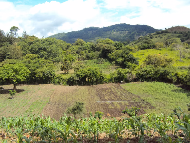 Vendo Terreno en La Laguna, San Pedro Ayampuc | ACODI