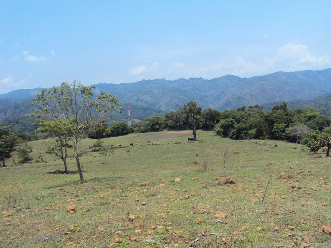 Vendo Terreno en La Laguna, San Pedro Ayampuc | ACODI