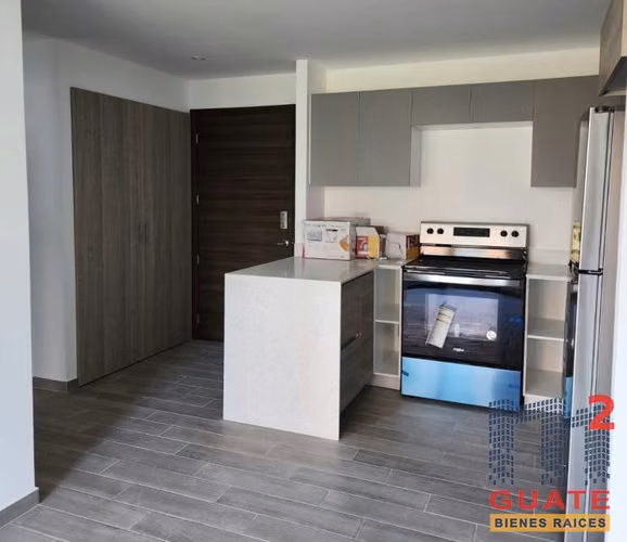 Apartamento en Renta, Zona 10 (R8698)