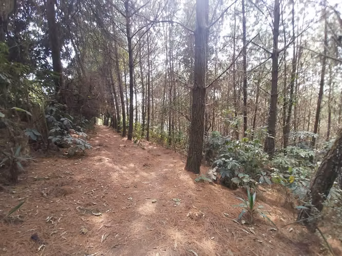 Vendo Finca 8.5 Manzanas en Sumpango Sacatepéquez - Imagen 6