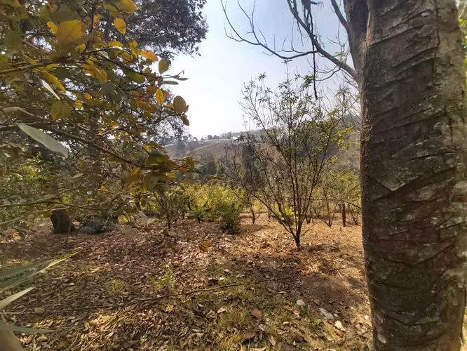 Vendo Finca 8.5 Manzanas en Sumpango Sacatepéquez - Imagen 3