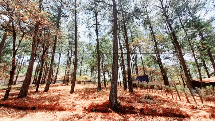 Terreno en Venta en Santo Domingo Xenacoj Sacatepequez