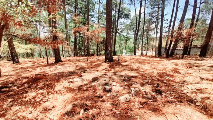 Terreno en Venta en Santo Domingo Xenacoj Sacatepequez