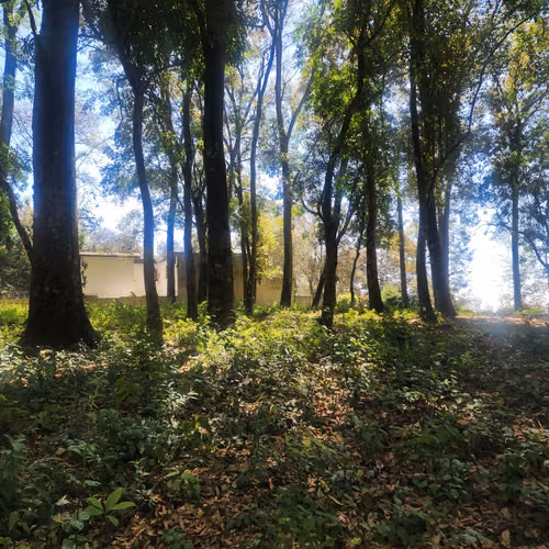 Terreno en Venta en Mixco, Bosque Vivo
