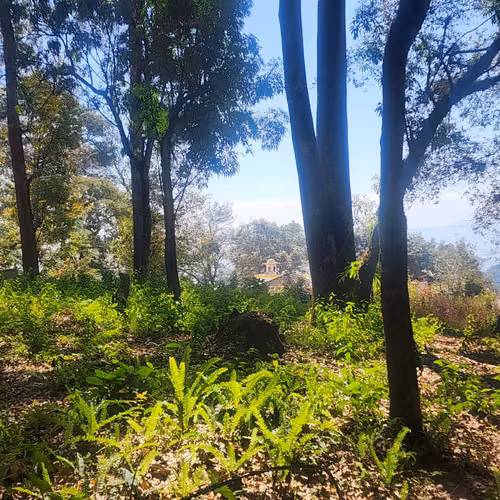 Vendo Terreno dentro de Residencial en Bosque Vivo