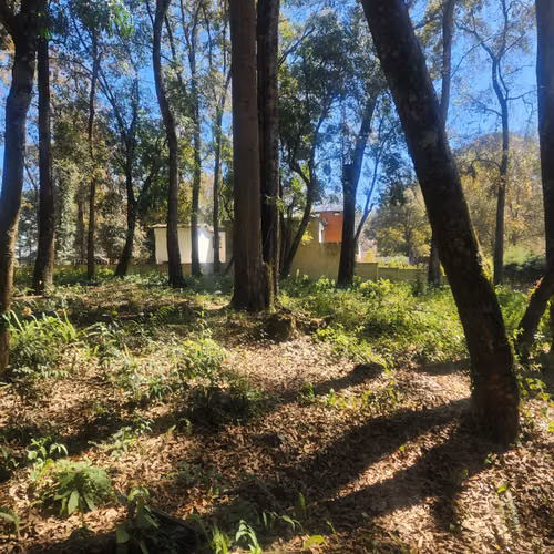 Vendo Terreno dentro de Residencial en Bosque Vivo