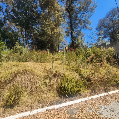 Vendo Terreno dentro de Residencial en Bosque Vivo