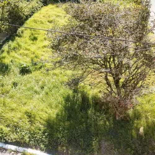 Terreno en Venta Terravista Coventry Carr a El Salvador - Imagen 5